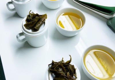 Bí quyết ủ trà đúng cách